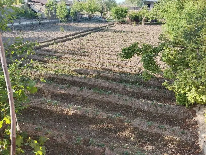 Hovli, Karmana tumani, Navro‘z mahalla 5