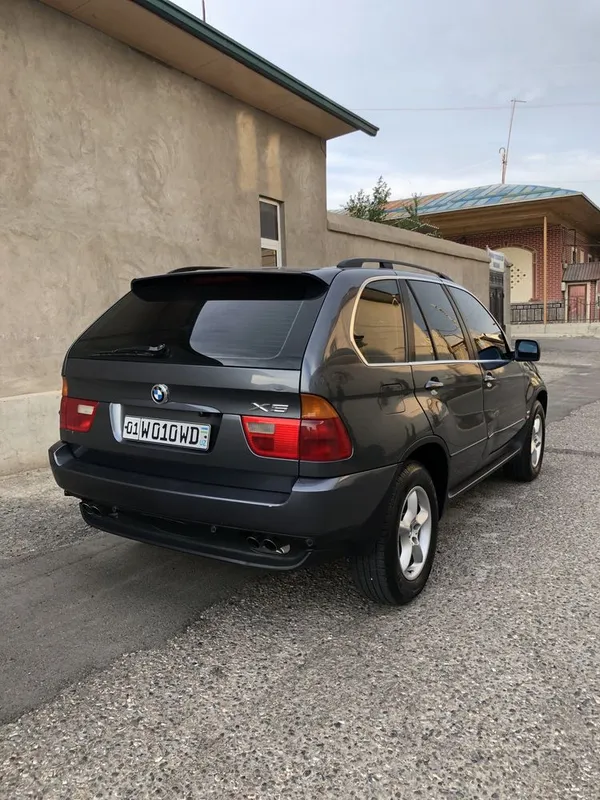 BMW X5 E53 (2001-yil) 3