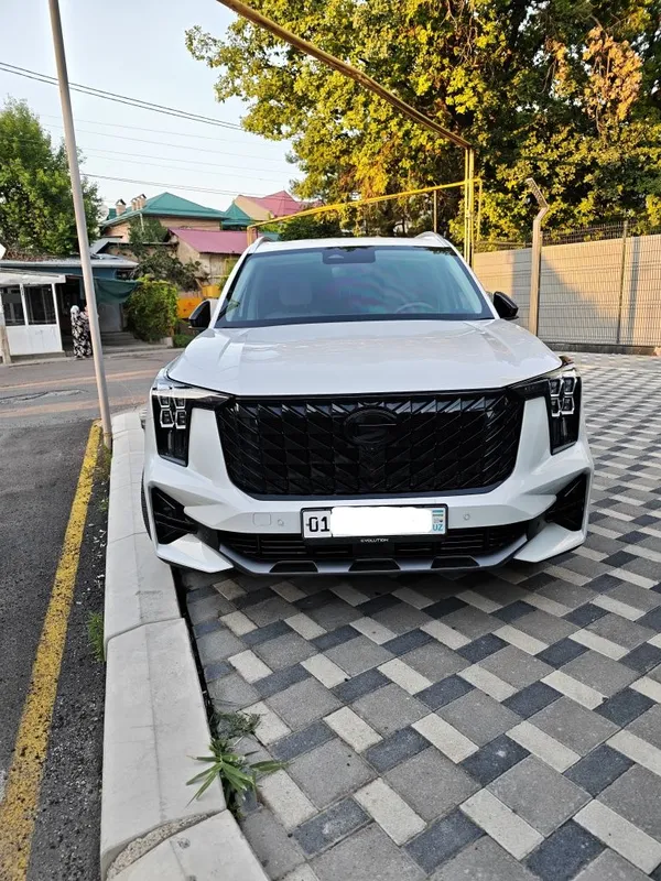 GAC GS8 7 ми местный Внедорожник 1