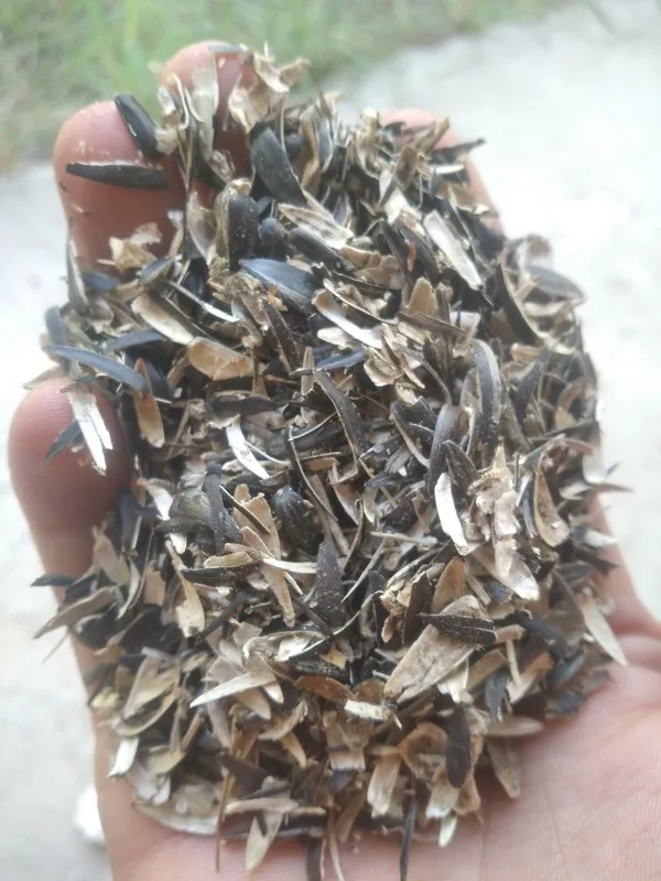 Semichka athod 100ta qop optom narxda 1