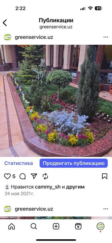 Газоны.Ландшафтный дизайн.Фонтанчики. — фото 2