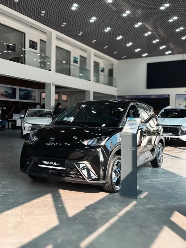 Byd seagull eng yaxshisi