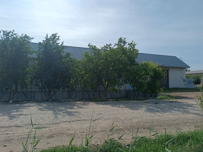 15- сотихли ховли барча куллайликларга эга. — фото 3