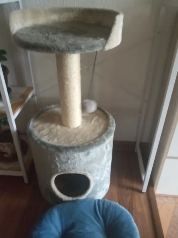 Продам Кошкин дом 1 Продам Кошкин дом 1