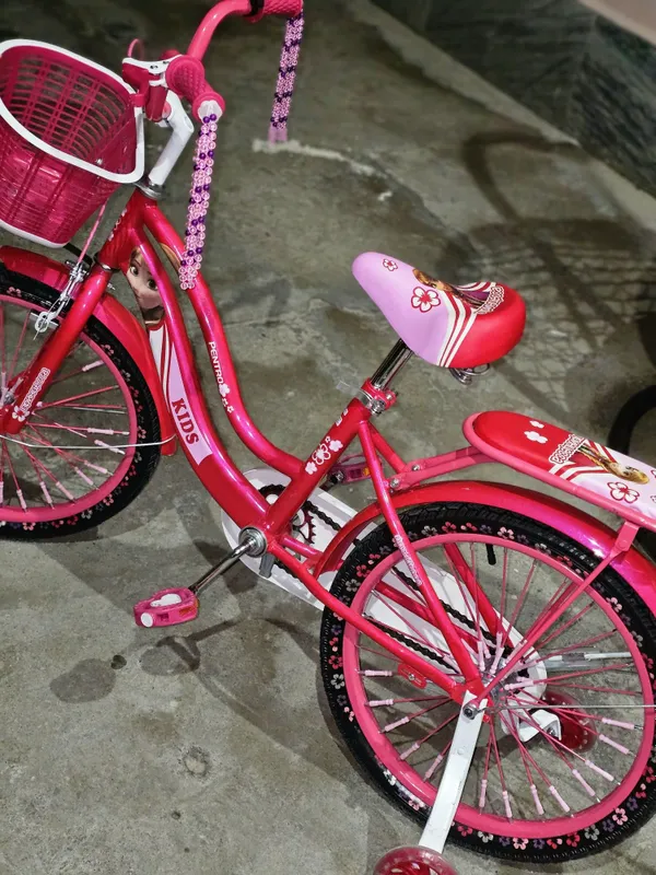 Velosiped qizlar uchun 3