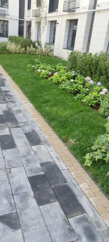 XARXIL TURDAGI ARCHA GULLAR XIZMATI MAVJUT