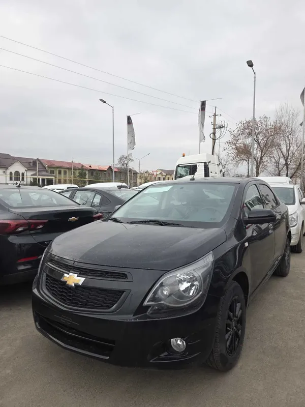 Cobalt midnight naxt va xalol nasiya