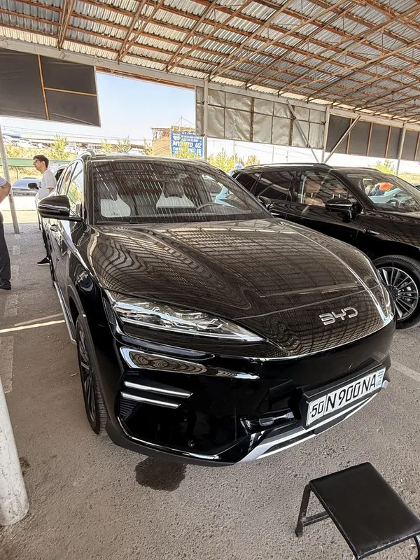 Byd chempion 605 tali 2024 yil 33 ming yurgan tozza