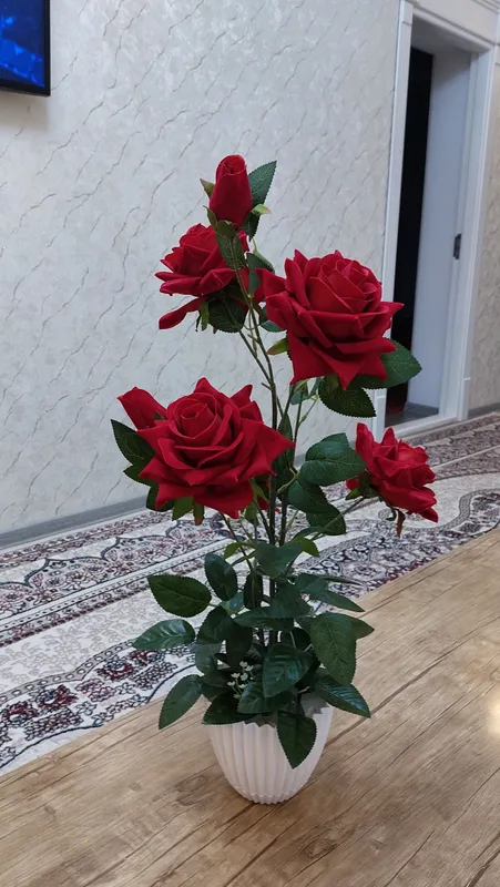 роза гул сотиладии — фото 1