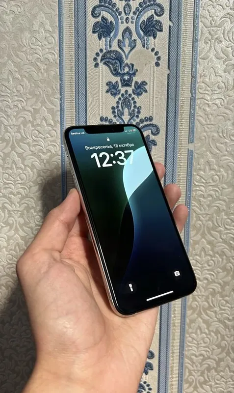 iPhone Xs KH/A 72$ 2