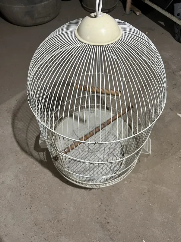 Qafas 1 metr balanligi 50cm eni