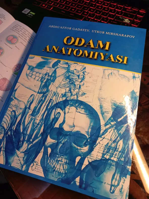 Gadayev, Odam anatomiya
