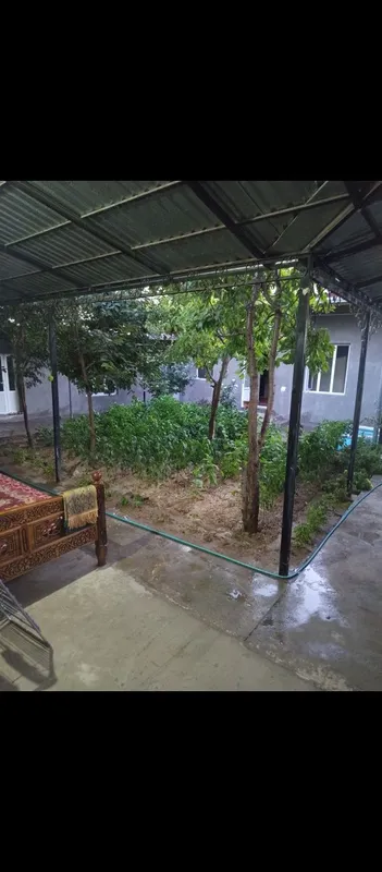 Uchastka sotiladii 1 Uchastka sotiladii 1