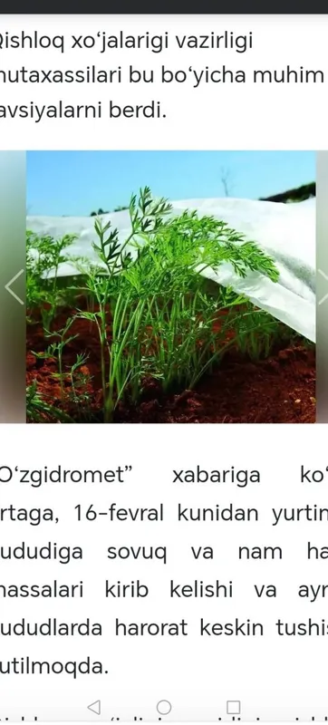 Daraxtlardi sovuqdan va isiqdan himoya qilish — фото 1