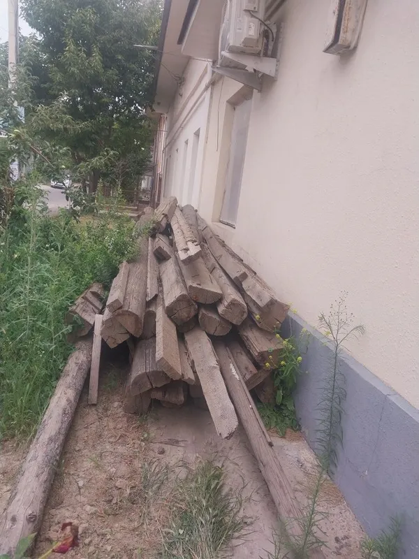 Tõsinlar kattasi 18 ta kichiknalari 10 ta katasi 4metr kichigi 3 metr 1
