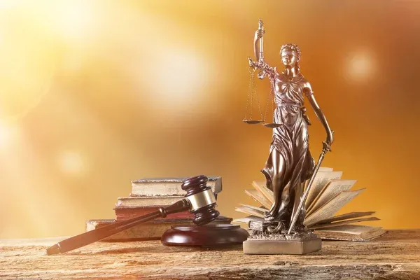 Профессиональные адвокатские услуги Профессиональные адвокатские услуги