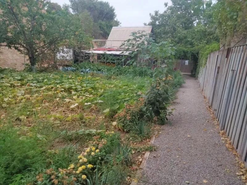 Dacha uyi arancha 7 Dacha uyi arancha 7