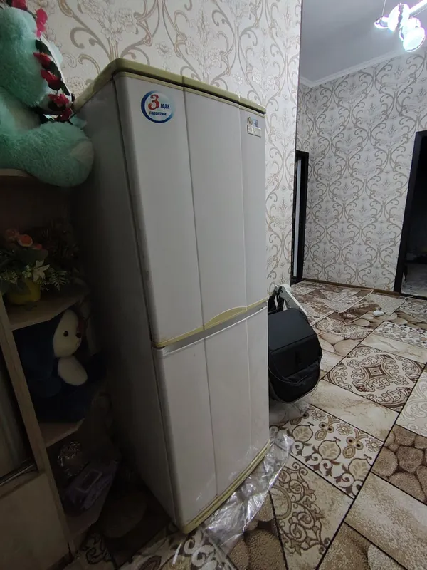 holodelnik Sino 2