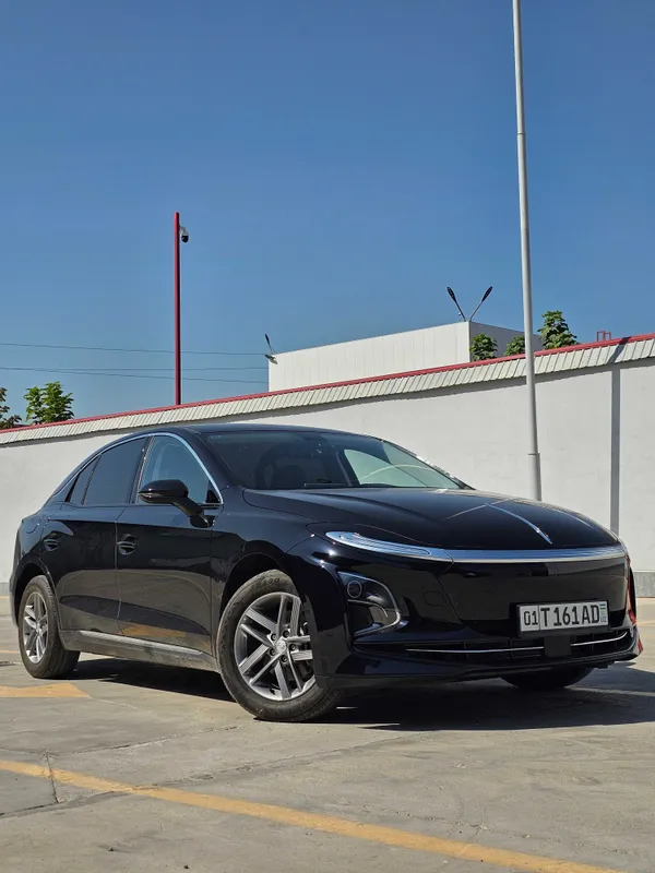 Сухой Аренда Hongqi EQM5 1 Сухой Аренда Hongqi EQM5 1