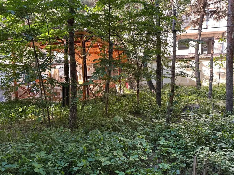 Цокольное помещение в ЖК "La Villa Elite House"