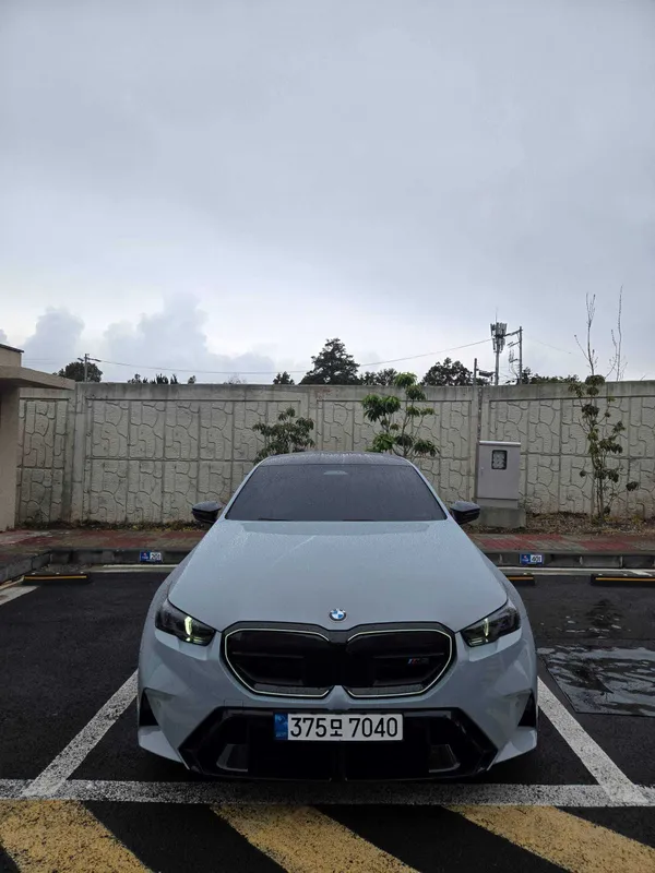 BMW M5 (G90) Nardo Grey