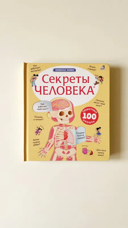 Волшебные окошки «Секреты человека»