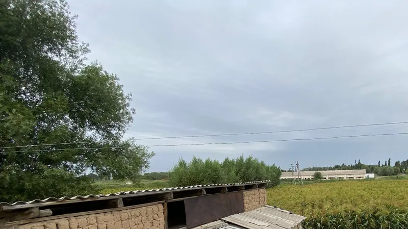 Uchastka sotiladi 3