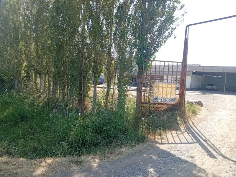 Qoshqorgon da 20 sotikli no turar bino sotiladi — фото 3