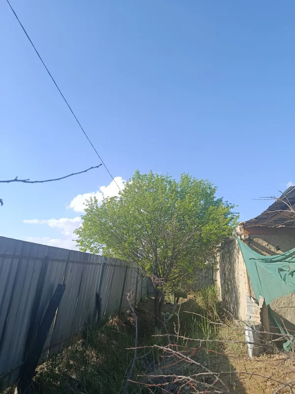 Yer maydoni sotiladi Buxoro viloyati jondor tumani 10s — фото 6