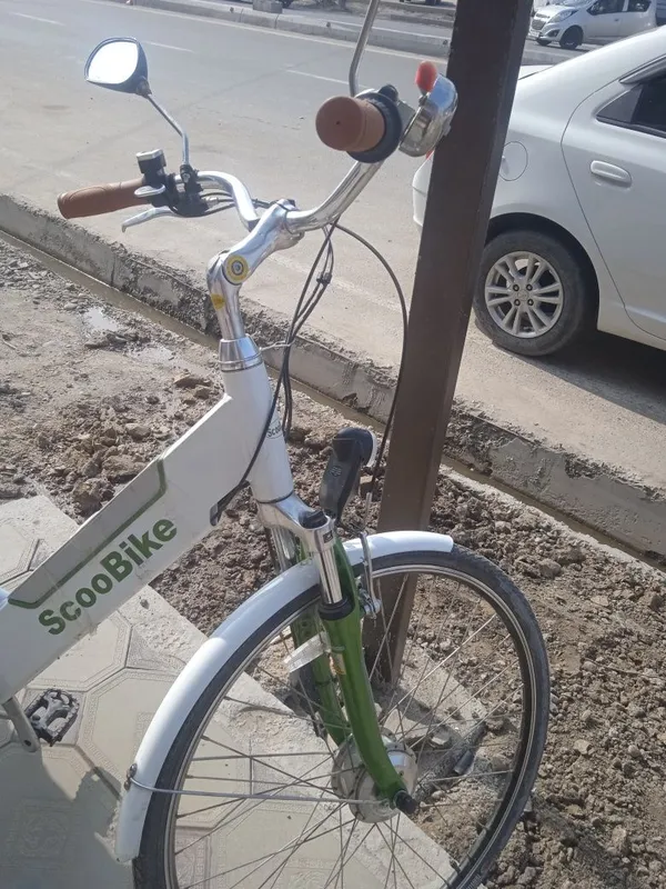 Germaniski velik — фото 1