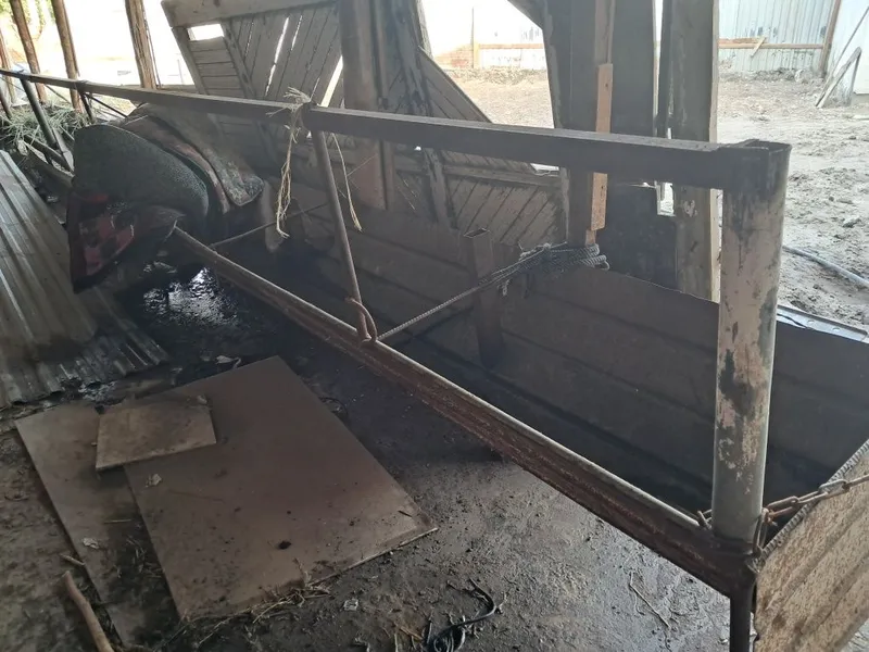Моллар учун охир сотилади — фото 1