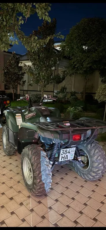 Yamaha Grizzly 700 5