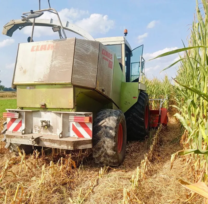 Claas Jaguar 860 Sotiladi 2 Claas Jaguar 860 Sotiladi 2