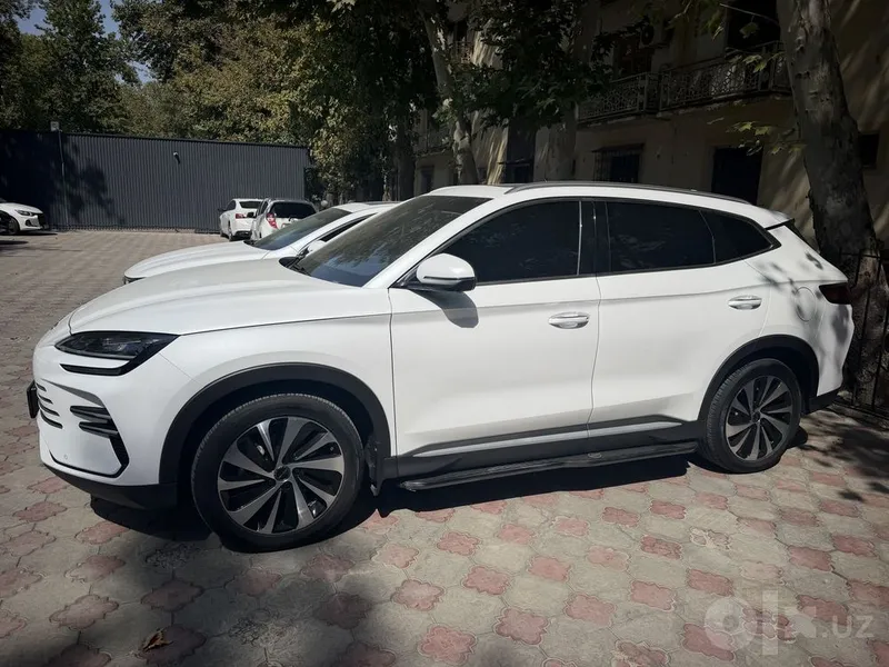 BYD Champion, 110-й 2 BYD Champion, 110-й 2