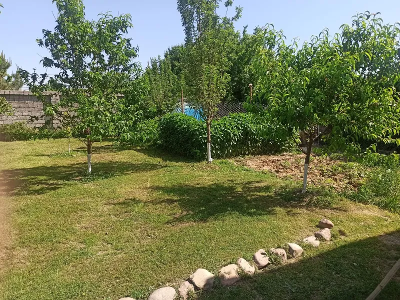 Продаётся дом,7.5 сот,Юкори-Чирчикский р-н — фото 2 Продаётся дом,7.5 сот,Юкори-Чирчикский р-н — фото 2