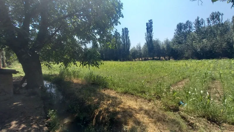 Hovli uy sotiladi srochna !! 2 Hovli uy sotiladi srochna !! 2