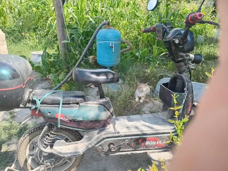skuterni holati yahshi mamosi bita akumlyatiri yoq — фото 2