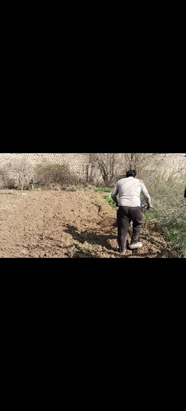 Ер хайдаш . Газон. Дарахт кесиш хизмати