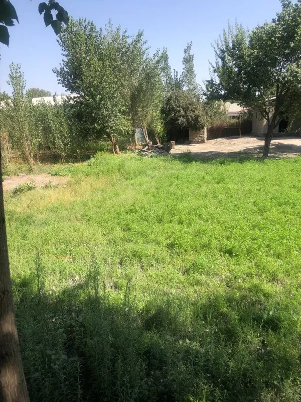Uchastka sotiladi bonusi bilan 5 Uchastka sotiladi bonusi bilan 5