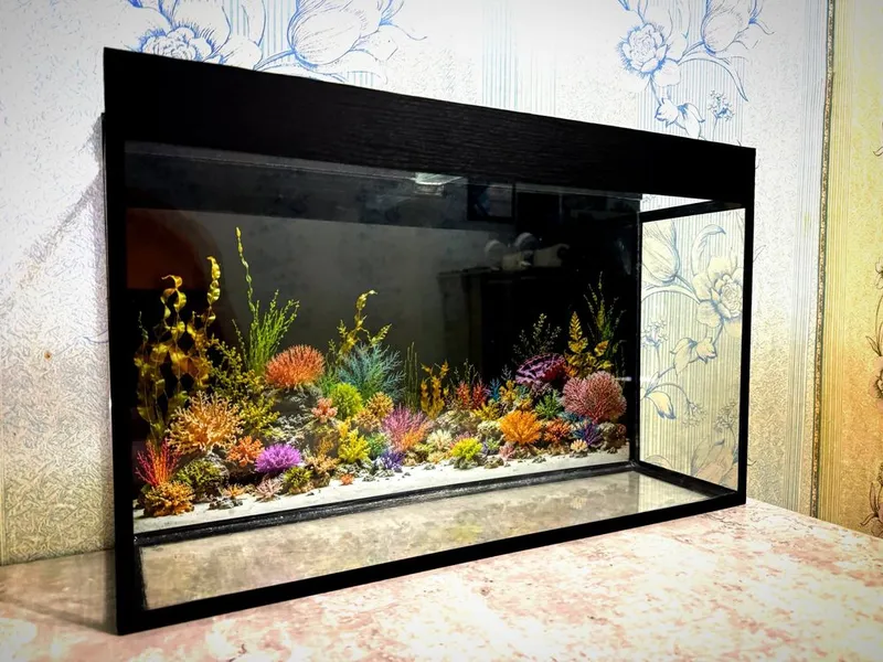 Akvarium sotiladi | 58,5×37×16 sm 1 Akvarium sotiladi | 58,5×37×16 sm 1