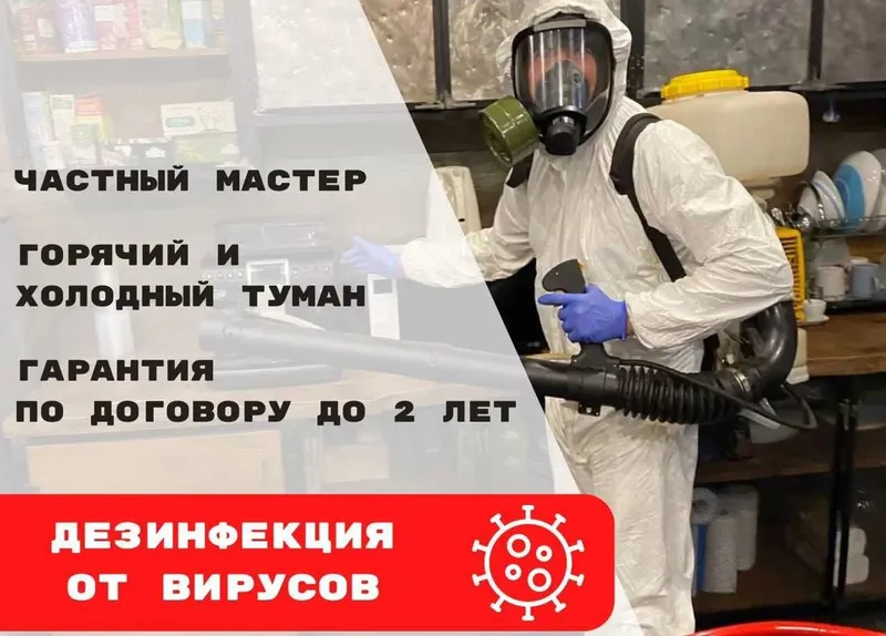 Dizinfeksiya klapa chumoli tarakan дезинфекция дезинсекция dezinfeksiy