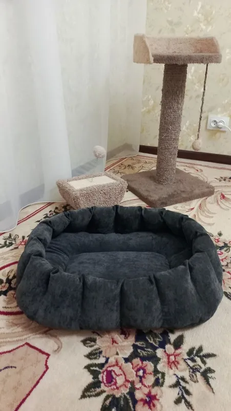 Лежанки для котиков и собак