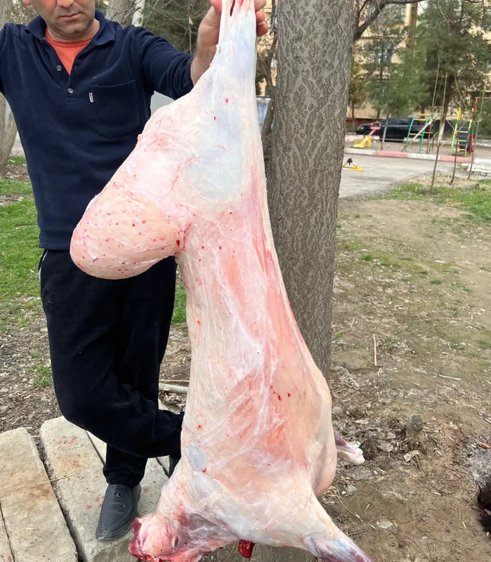 Эҳсон учун қўйлар сўйиб берамиз. 4 Эҳсон учун қўйлар сўйиб берамиз. 4