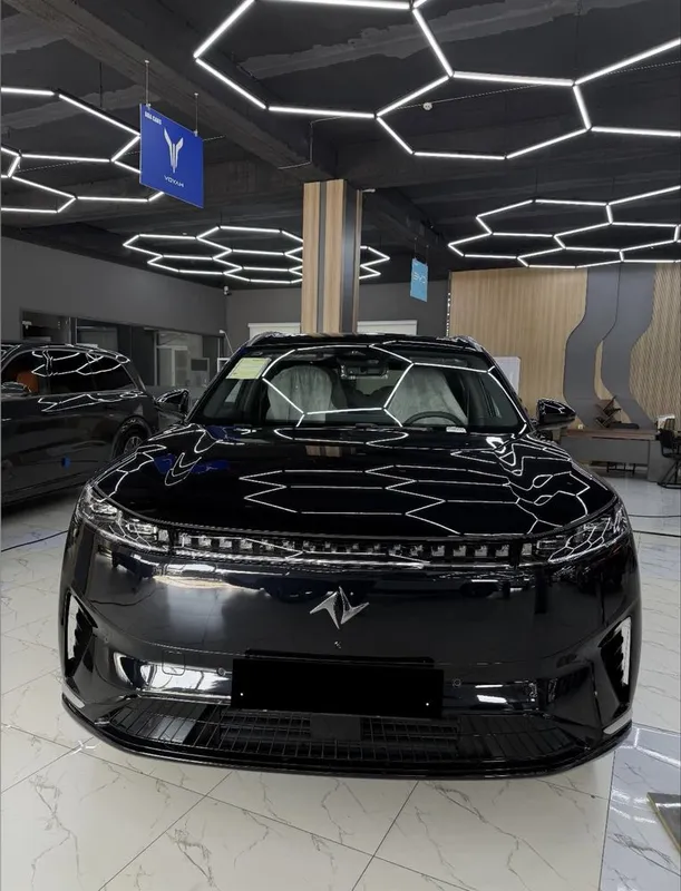 Dongfeng 008 gibrid