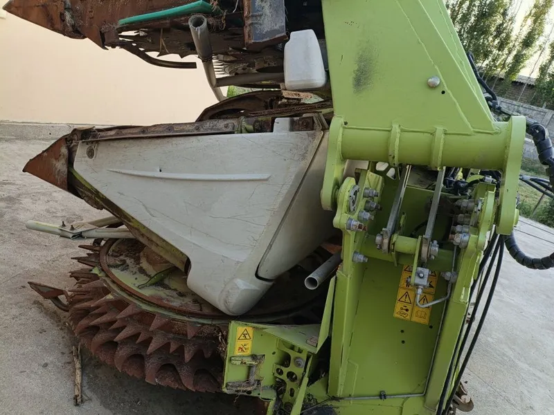 Jaguar jatkasi Polshdan keltirilgan makkayi uchun 4