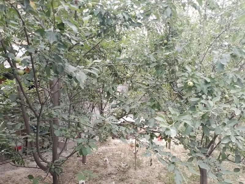 продается участок — фото 1
