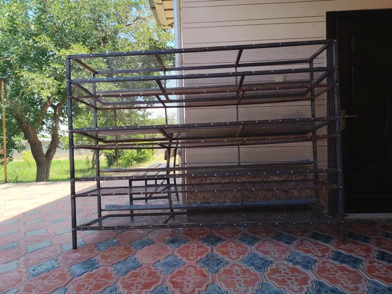 Bedana qafas, sig'imi 600-700 dona uchun.