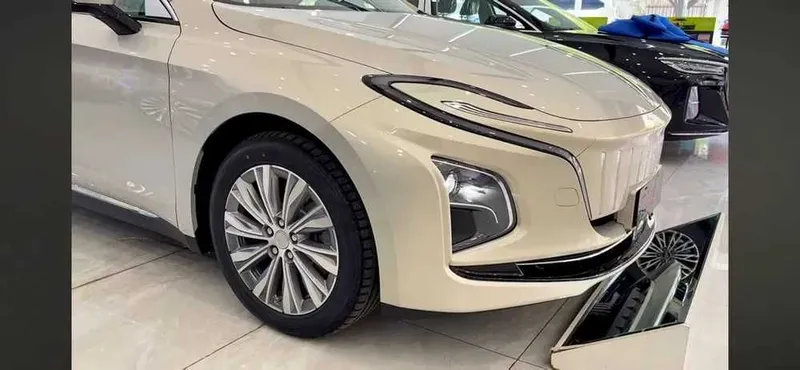 byd Hongqie E qm5 450 dan 610 kmgaca bor — фото 1