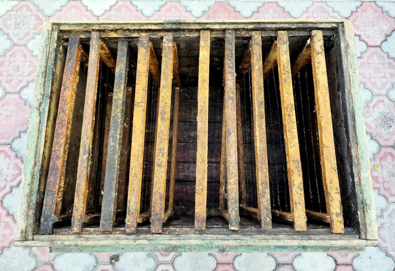 Asalari yashik, Asalari uyasi, Asalari yashiklari sotiladi — фото 4