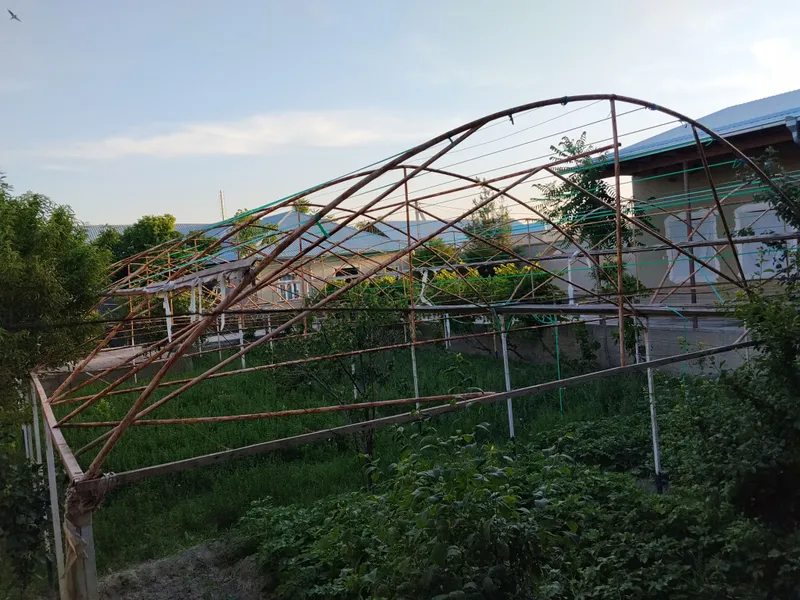 Теплица 4 Теплица 4
